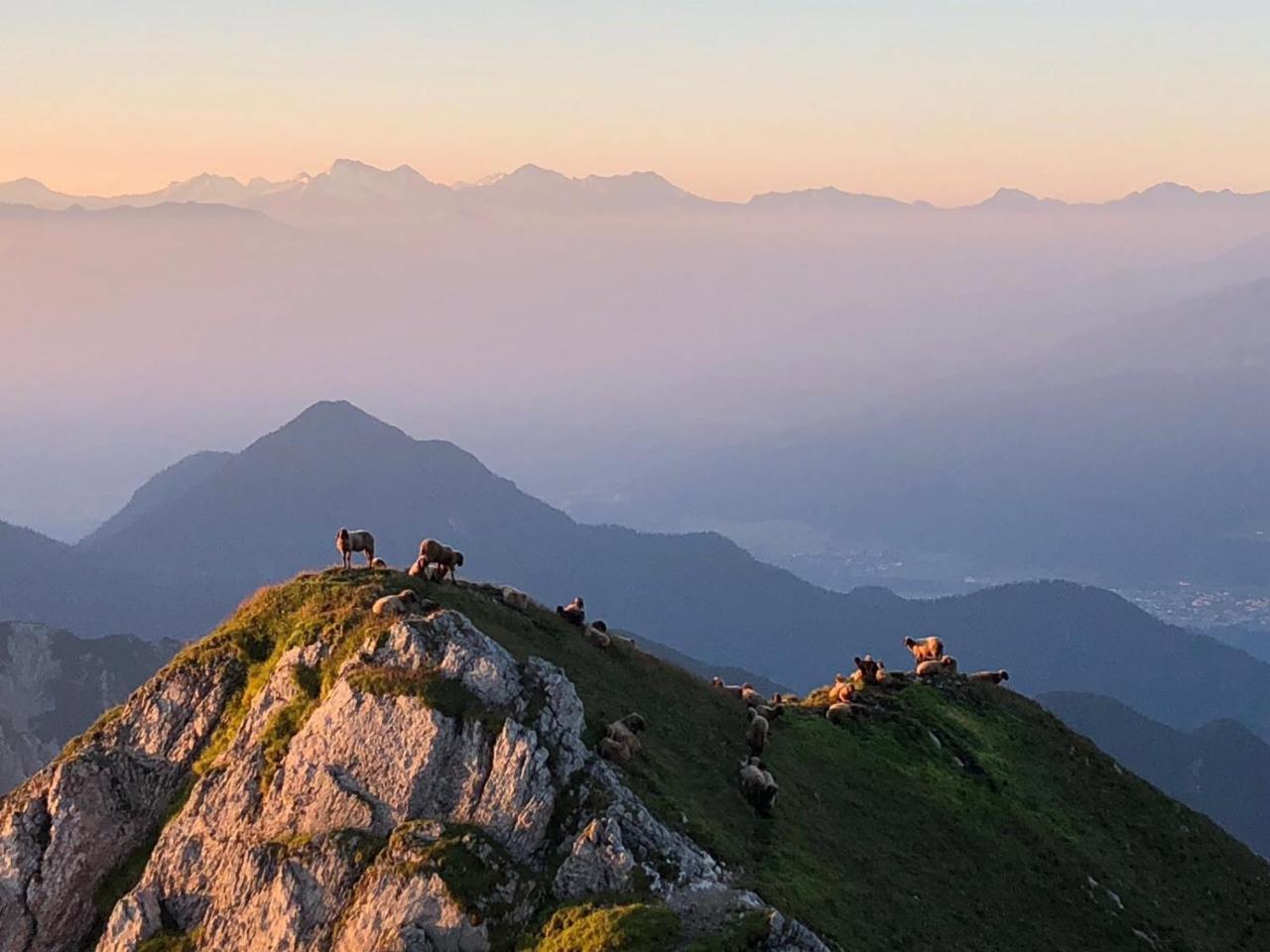 Hotel Menthof Seefeld in Tirol Eksteriør billede