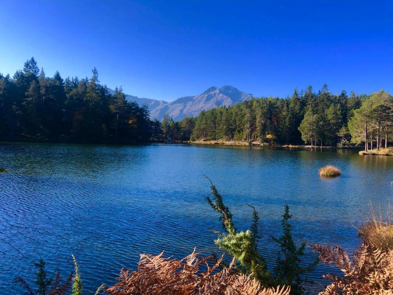 Hotel Menthof Seefeld in Tirol Eksteriør billede