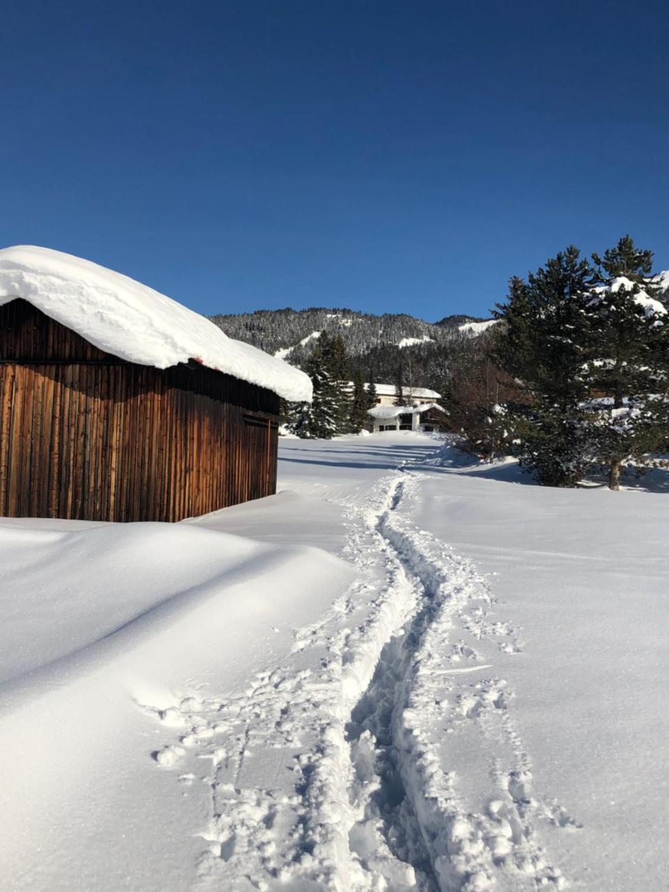 Hotel Menthof Seefeld in Tirol Eksteriør billede